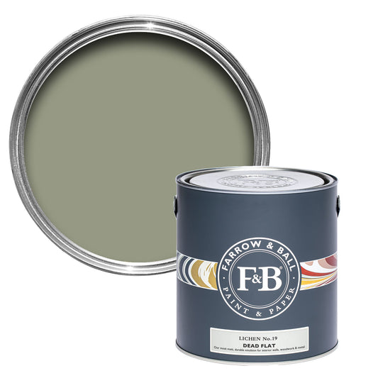 Farrow & Ball Lichen No. 19 - Dead Flat 5L