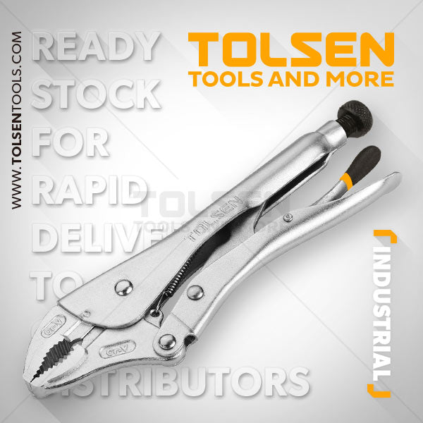 Bespoke Decor Locking Pliers 250mm paint