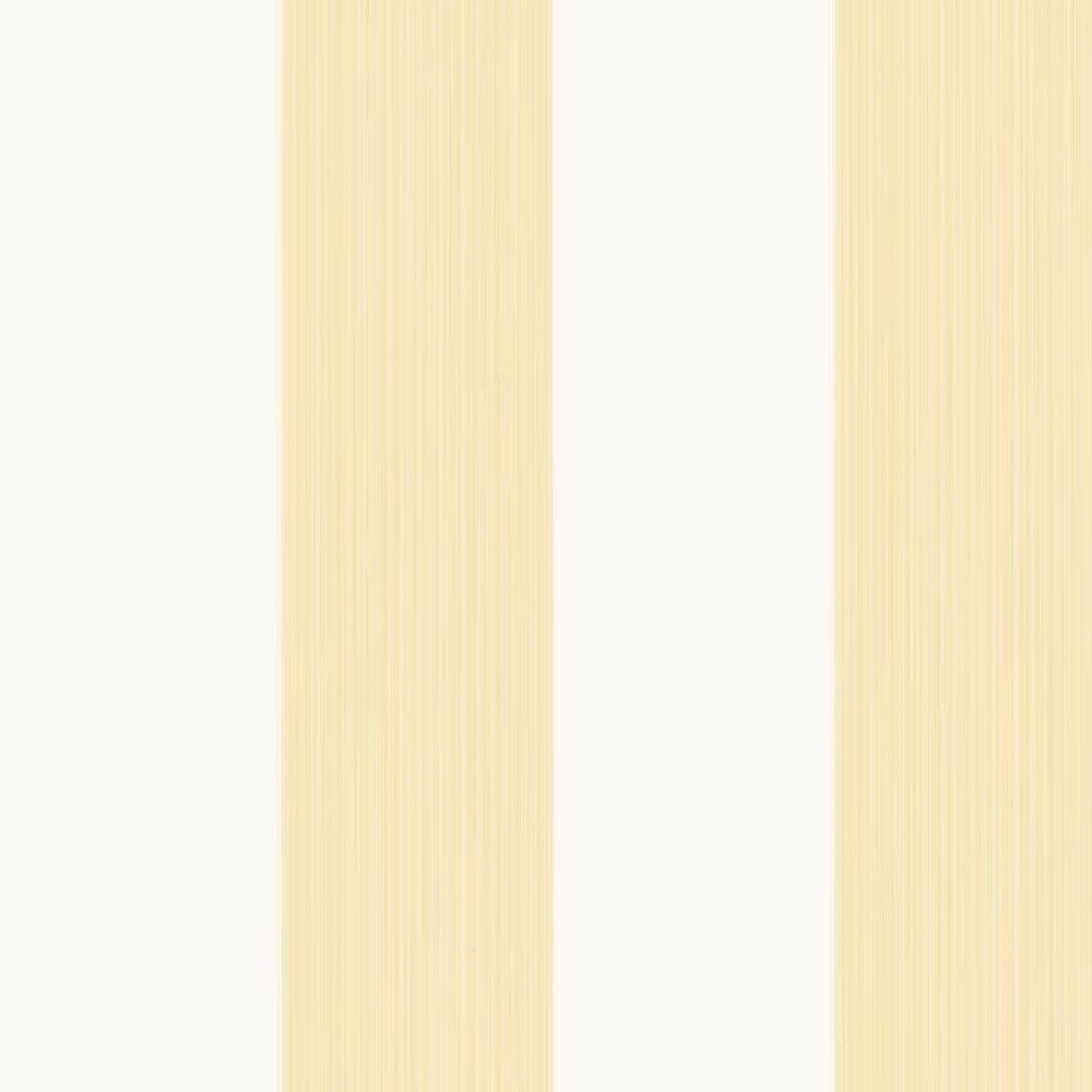 Farrow & Ball Broad Stripe - Wallpaper 210 x 270 mm