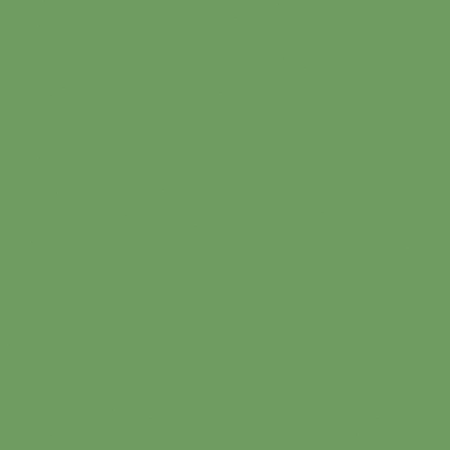 Bespoke Decor Colour page - No.CB6 - Raw Tomatillo paint