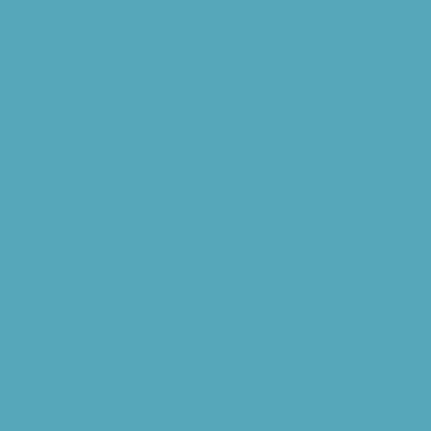 Bespoke Decor Colour page - No.CB7 - Lobster paint