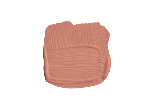 Farrow & Ball Red Earth 64 paint